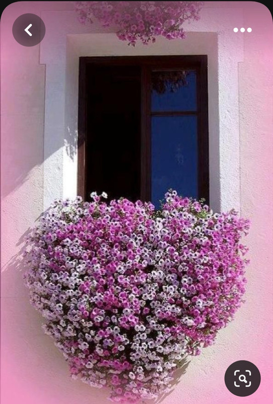 Screenshot_20230512_230545_Pinterest