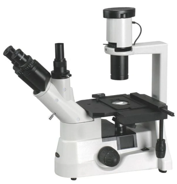 Inverted Microscope