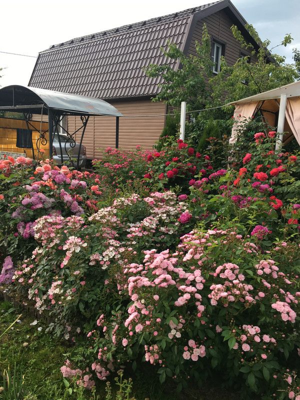 6EBCE73D-4C91-4361-AEF1-F3BD5EE2E39F