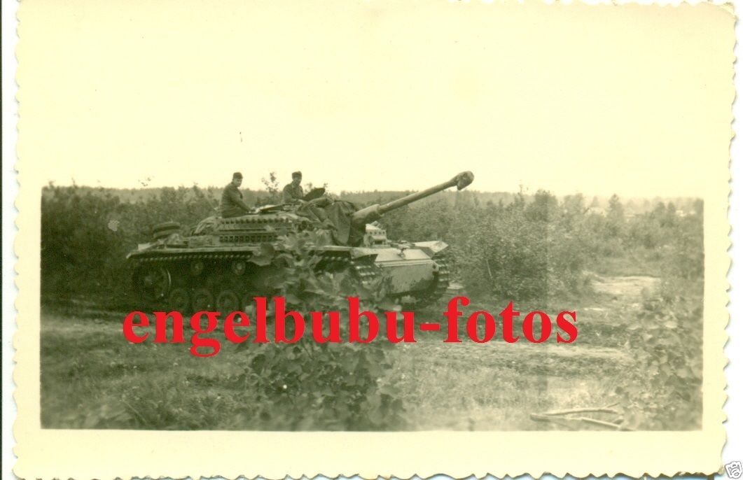 PANZER - STURMGESCHÜTZ - TARNUNG   LANGROHR - SE