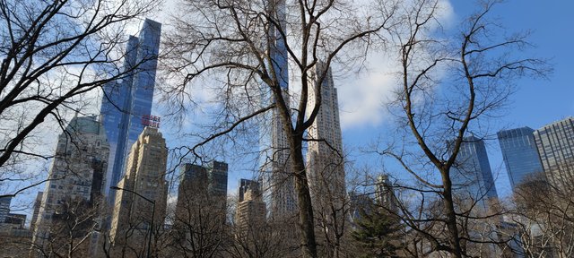 Nueva York 2022 - Blogs de USA - Bici por Central Park y Blue Man Group (10)