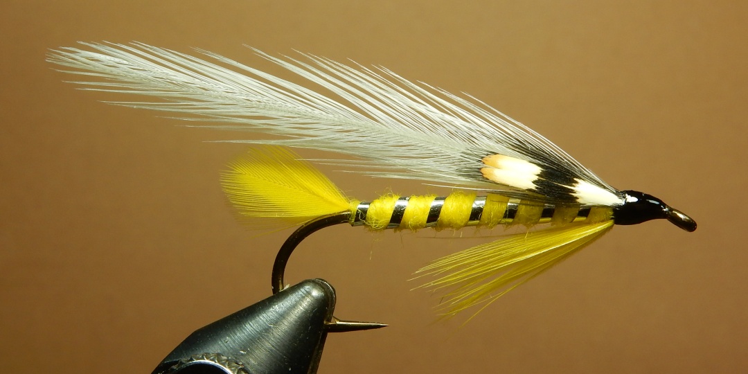 Silver-Salmon-1080.jpg
