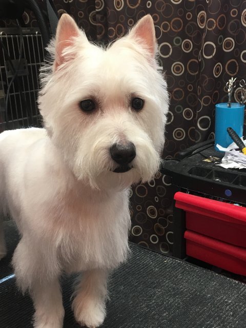 4DA012B3-918D-4FFD-A490-2461FAEED3D0