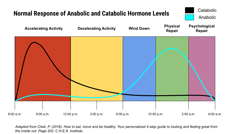 Circadian Rhythms