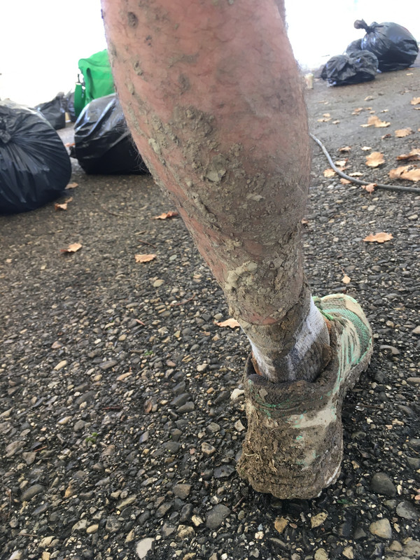 C0300D80-AEF2-4401-8123-7EC3537AC975