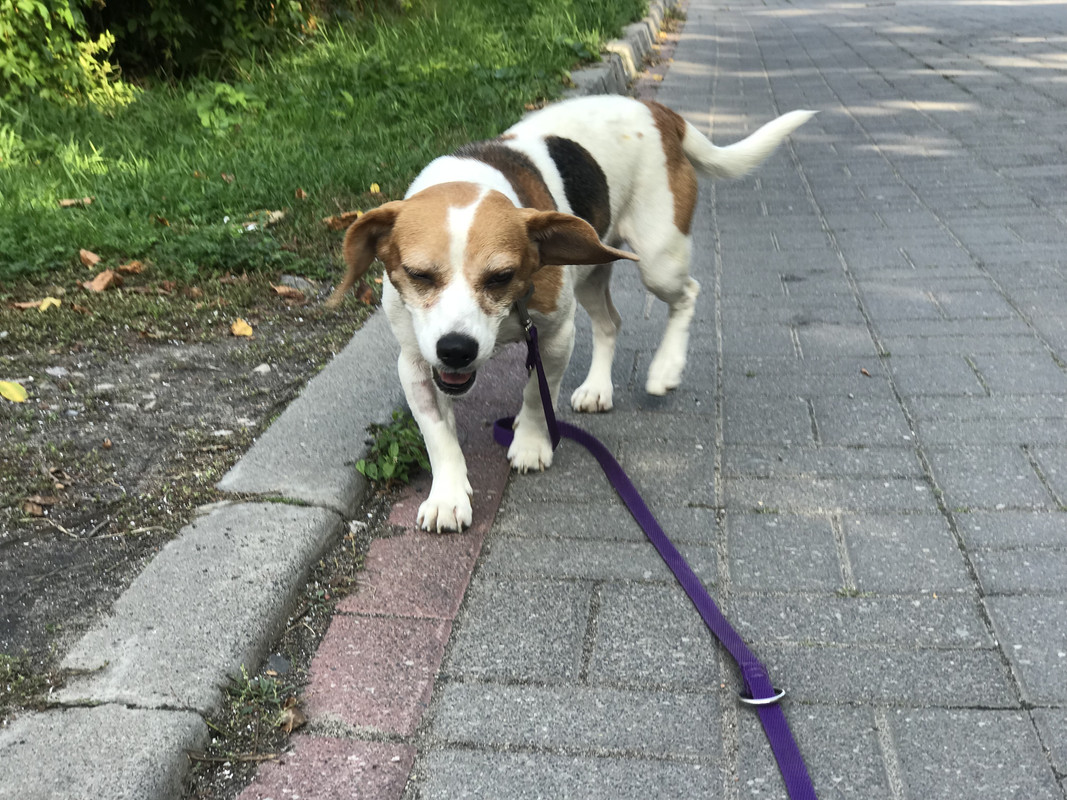 E24228BC-E745-4CD4-B7F1-5BA08389E71C