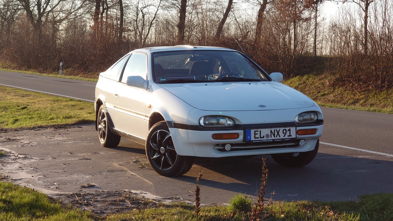 IMG_20230301_171658 (Groot)