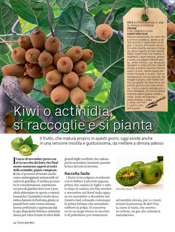 Il Mio Giar Dic 2023-Gen 2024 (9)