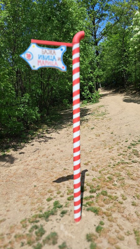 Slika