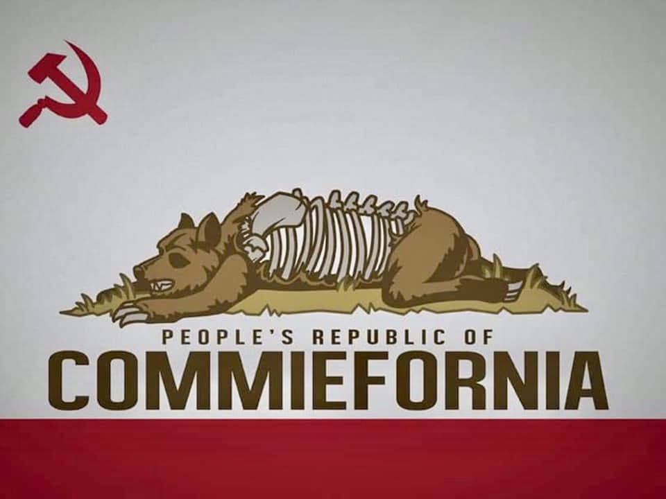 E2-E46-D80-A5-BD-476-A-8325-959-DA36588-FD