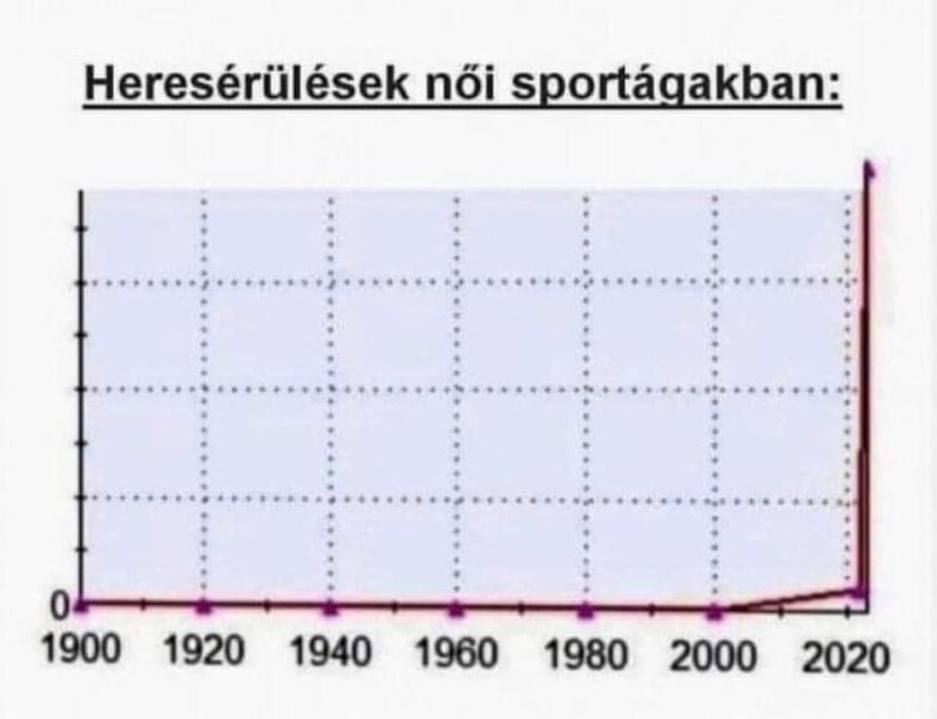 342916465-1743478709399874-9215650264766180868-n.jpg