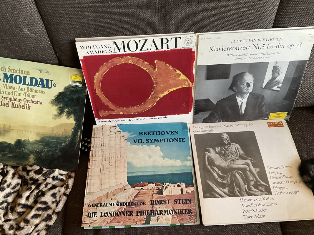 B52A23B4-EF3C-4BAD-9B7E-7F56498A10ED