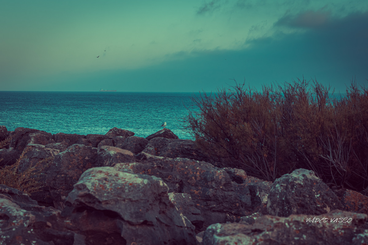 HIve-Boca-Inferno-1-16.jpg