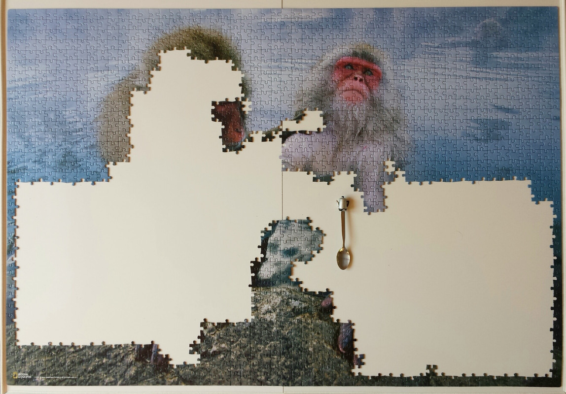 20170120_161621(0)-1-01