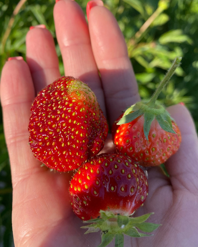 5A665F98-8693-4C22-986C-6562A1E6E1CD