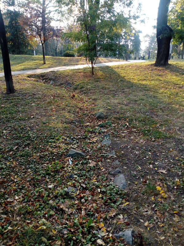 IMG-20181023-160749.jpg
