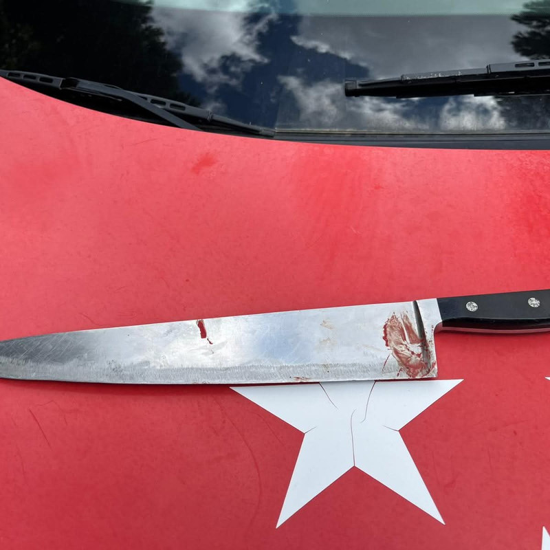 Foto cedida por Policía Nuevo Baztán