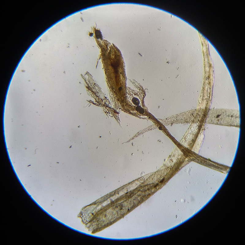 IMG 20250614 122153 HDR