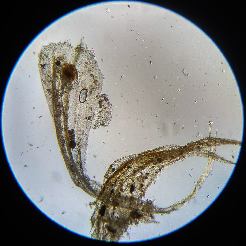 IMG 20250614 122217 HDR