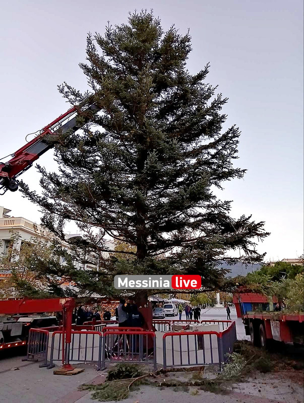 δεντρο1image00004