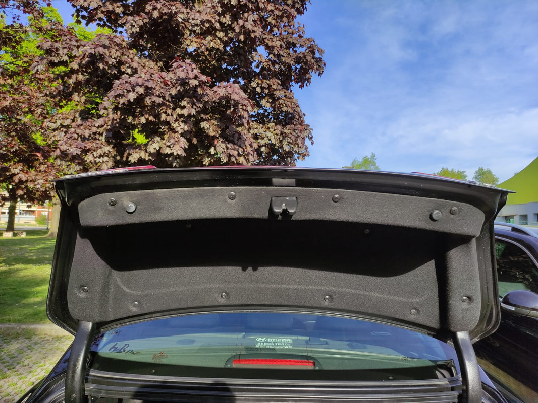 WhatsApp Image 2021-05-04 at 22.31.14 (1)