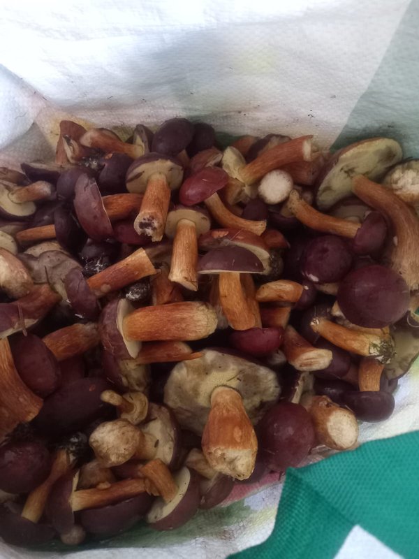 Изображение WhatsApp 2025-09-16 в 18.57.54_b0df1011