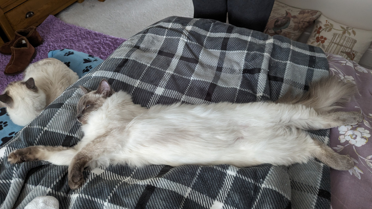 PXL_20240322_085105766