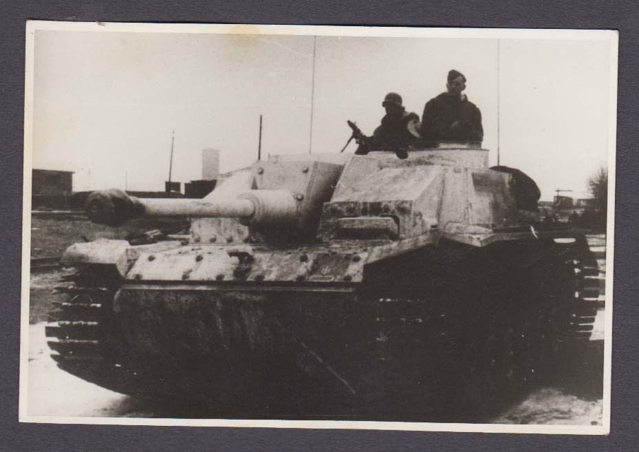 Russland 1943 Sturmgeschütz Panzer Div. DR