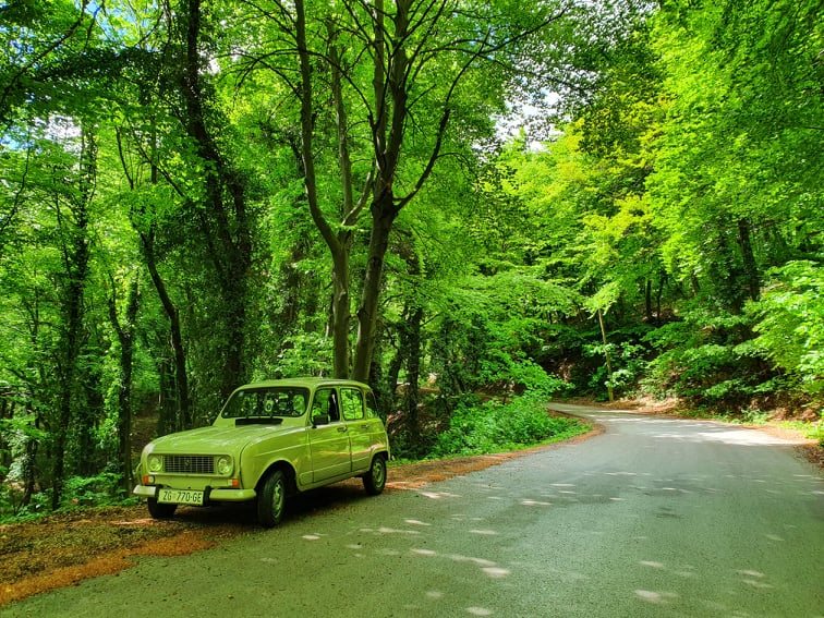 121685368_433064634347633_939840391280960525_n