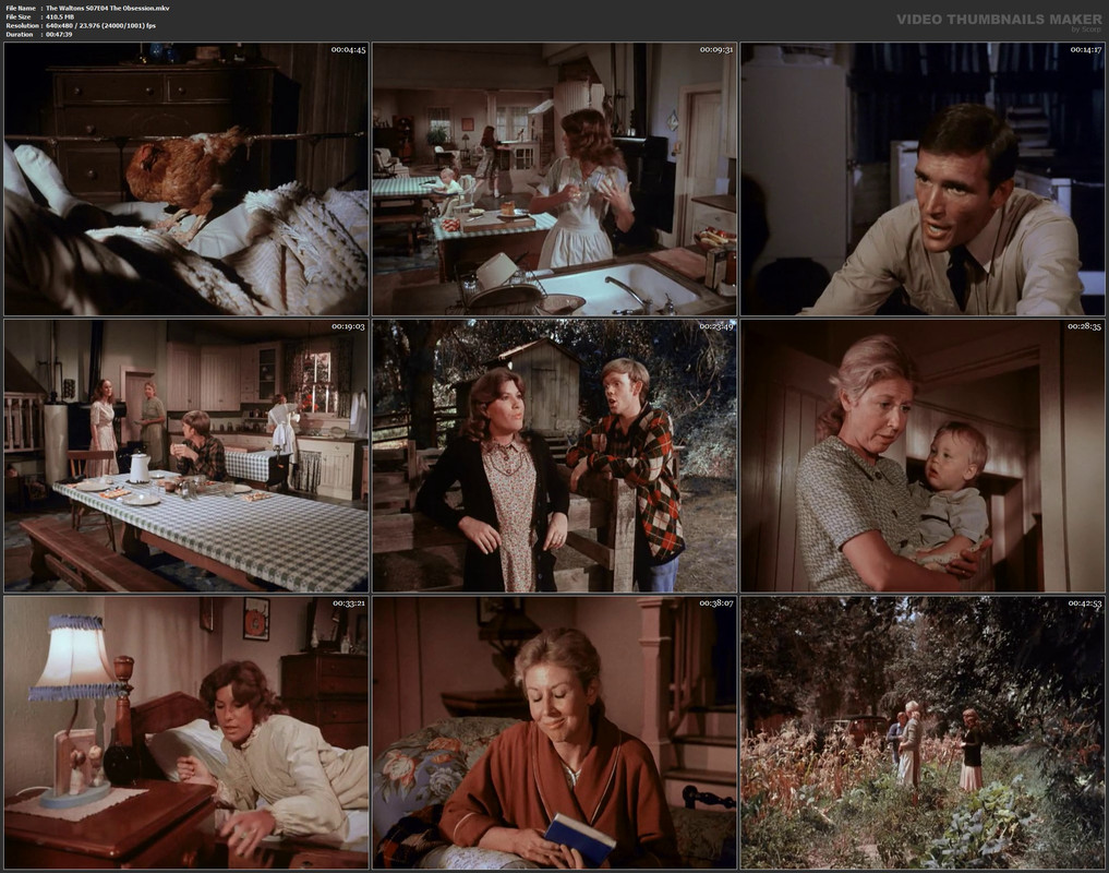 The Waltons S07E04 The Obsession.mkv