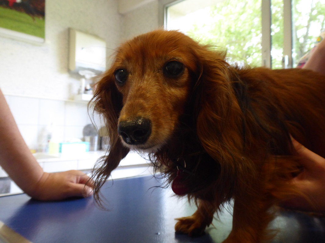 [Image: P1040883.jpg]