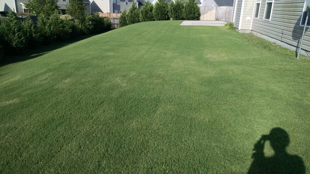 IMG_20150620_181451008