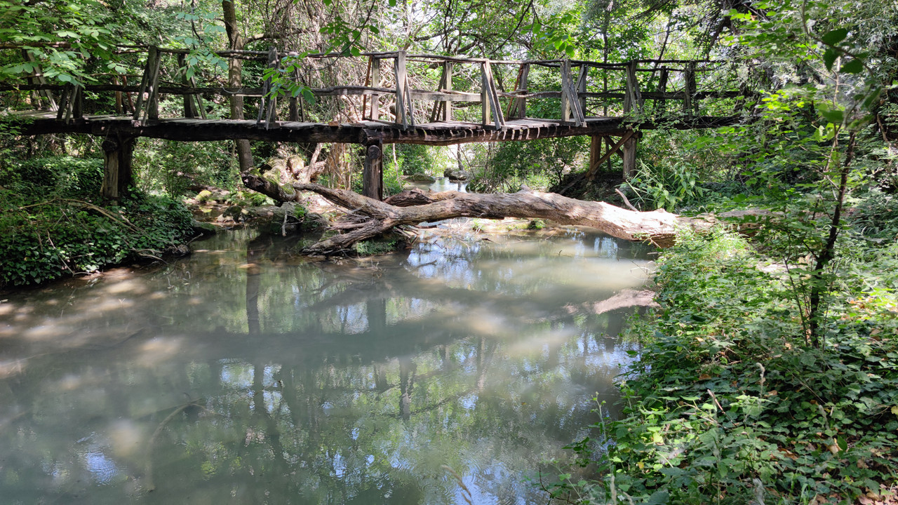 [Obrazek: IMG-20210729-113118.jpg]