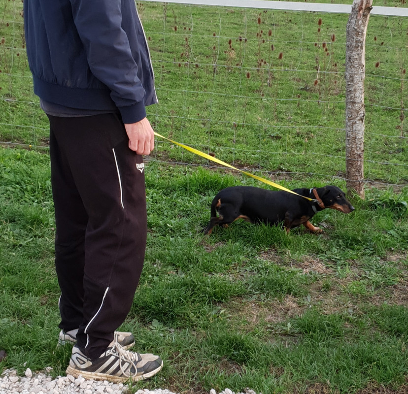 [Image: 20201024-090355.jpg]