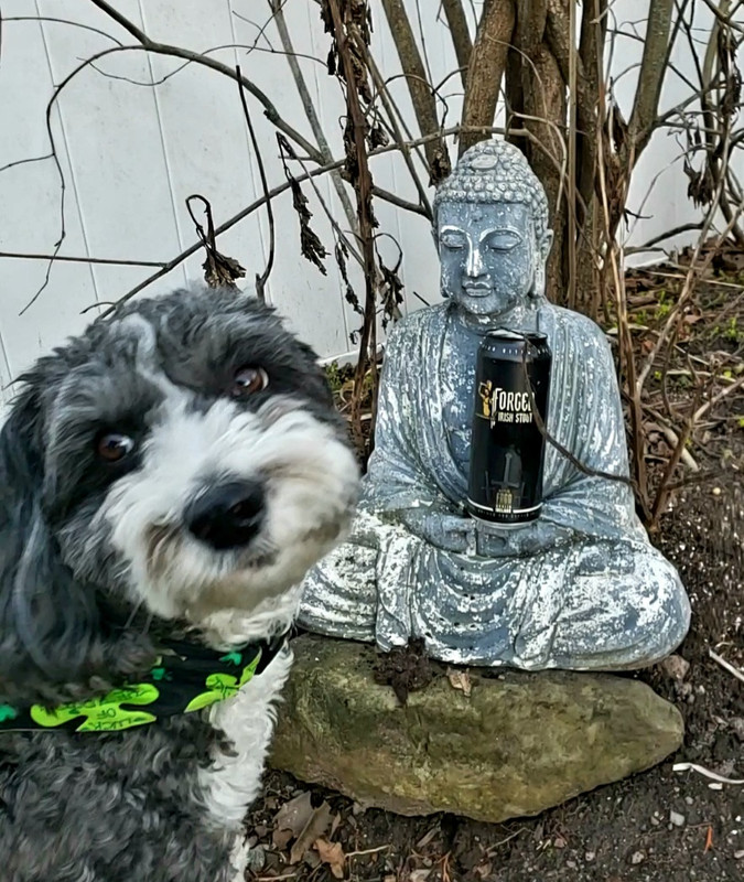 20240317_184044