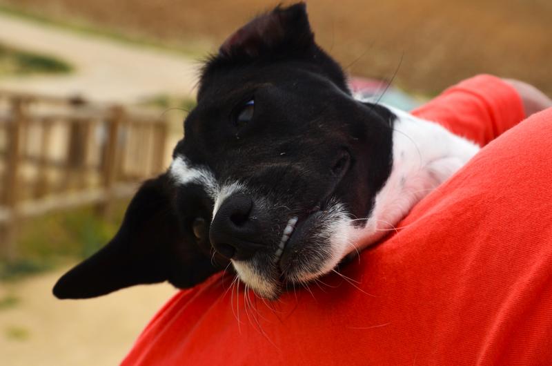 Barrancas de Burujón-2015/2025 - Toledo y sus pueblos-1996/2026 (40)