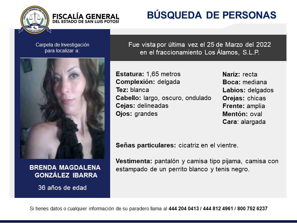Graban el momento en que mujer es secuestrada en San Luis Potosí