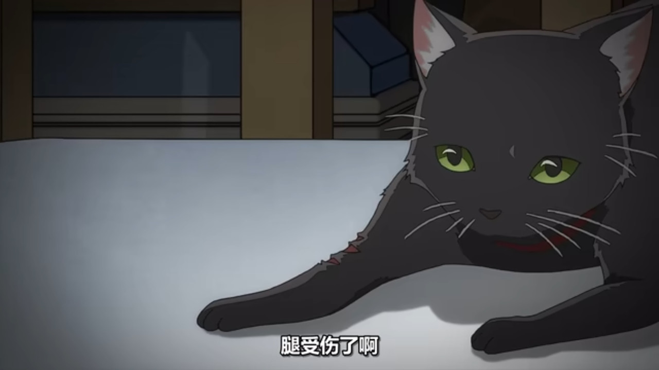 推理要在晚餐後 第十話 18 貓 3