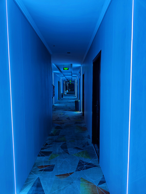 IMG_20230512_221503_副本