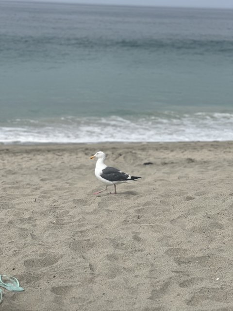 [Image: IMG-4806.jpg]