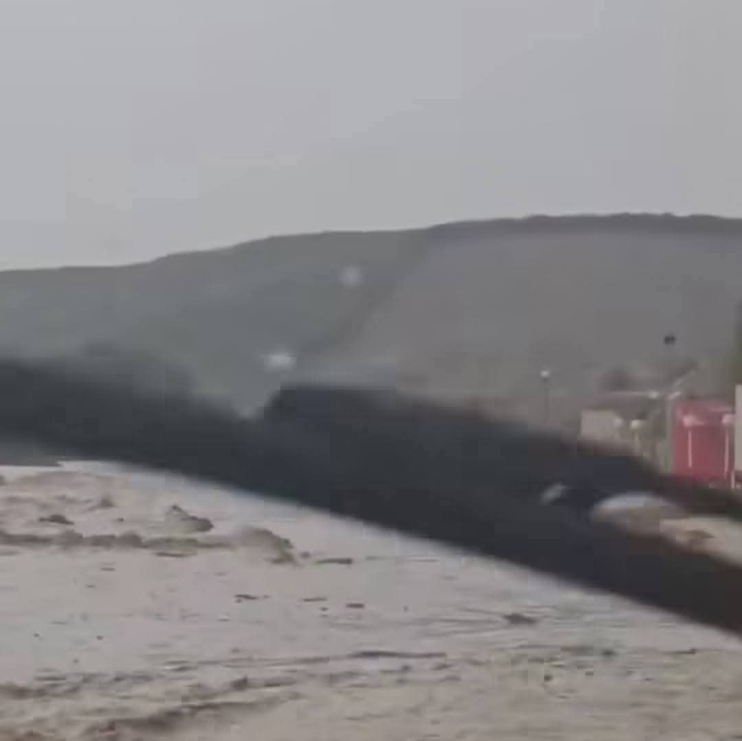 received-5298118623745704