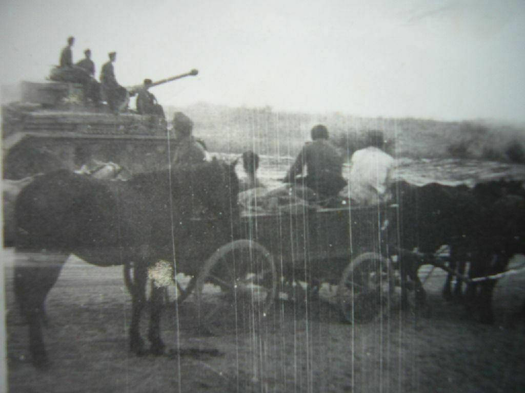 Foto Wehrmacht - PANZER IV Langrohr und Flüchtlings-Pferdewagen