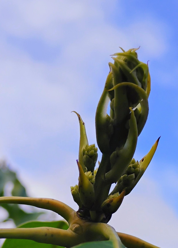 IMG 20251209 154033601 3