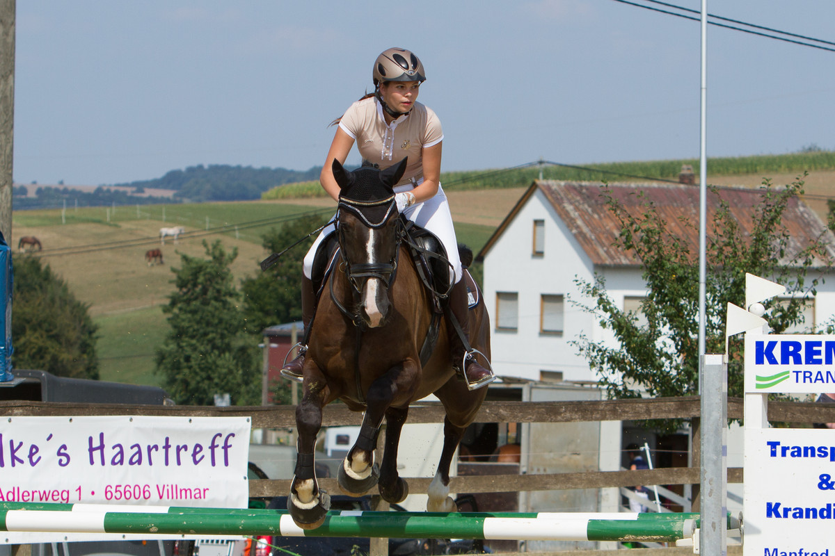 level-5-showjumping-l-springen-56-by-luda-stock-d983a7j.jpg