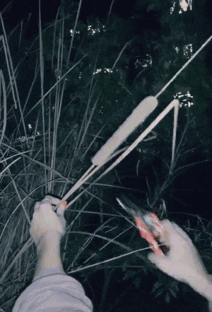 https://i.postimg.cc/FH60Csk7/7.gif