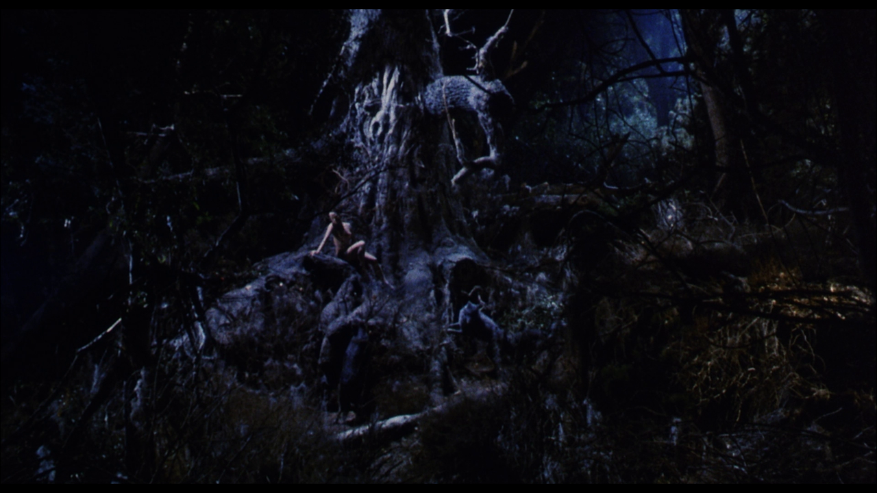 vlcsnap-2023-10-17-18h59m49s970