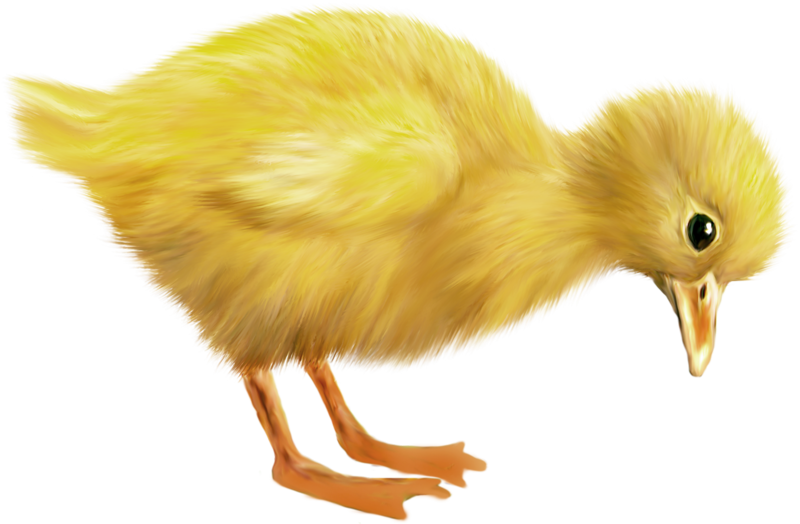 0_1c118b_504d1df7_orig