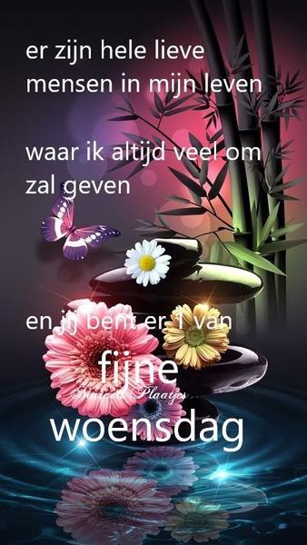 29aeb27f28f8edf240af163126ccdcd1.jpg