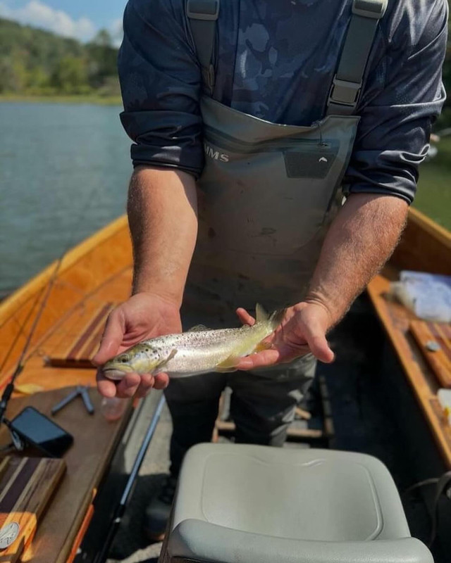 B497D299-DED1-403C-A03D-D43B0A3637B2