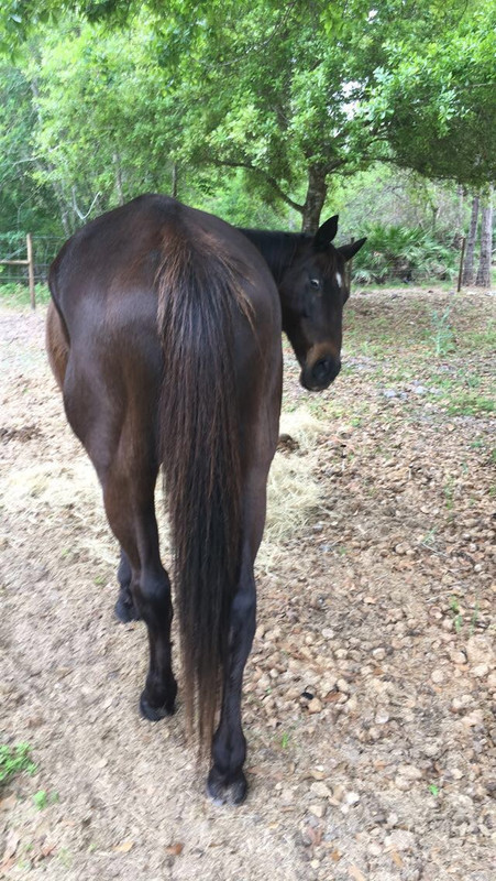 C591BE76-2C73-47F3-95B9-1D2FC002C5BD